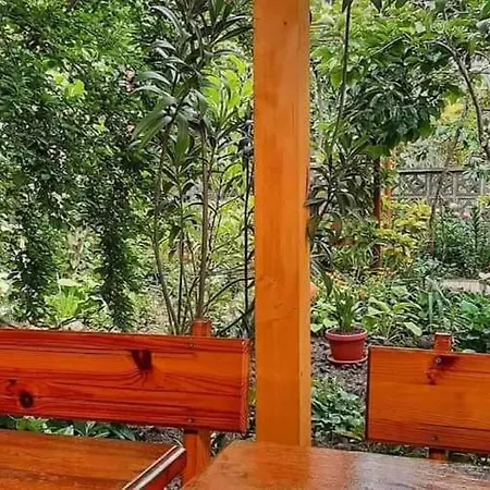 Wendy's - Summer House 普里莫尔斯科